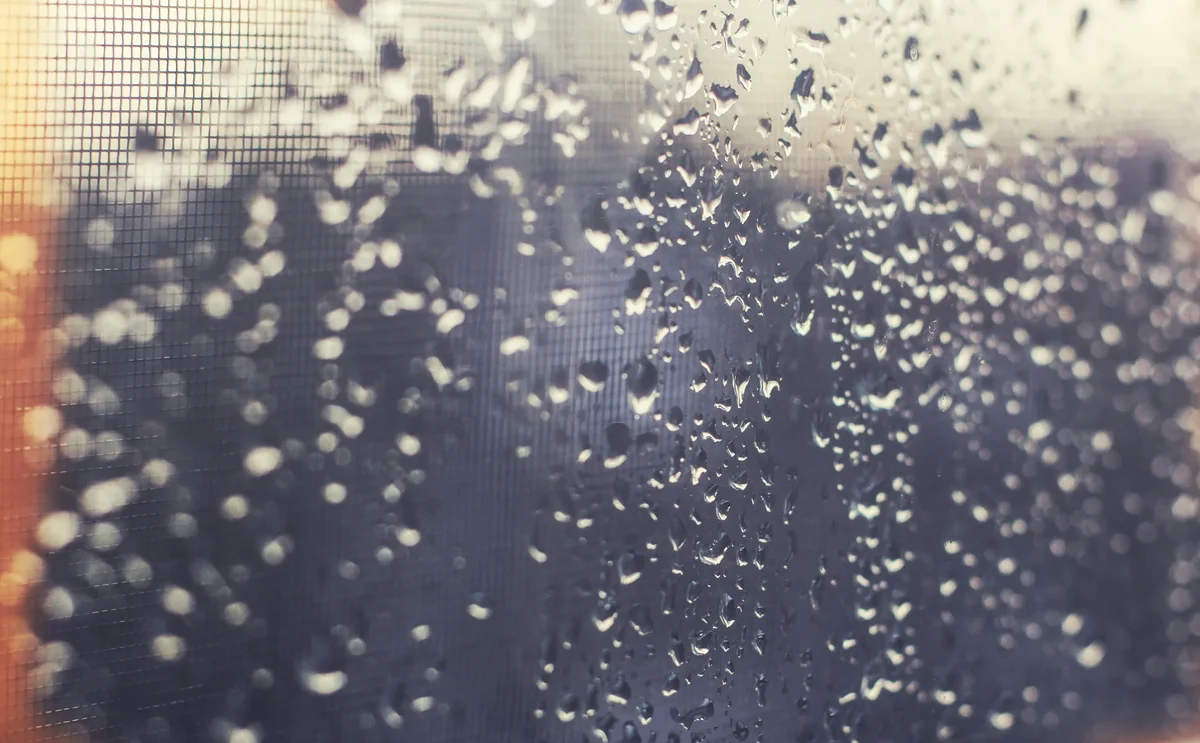 Gouttes de pluie sur une fenêtre, illustration de l'humidité extérieure